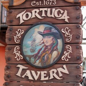 Team Page: Tortuga Tavern Buccaneers